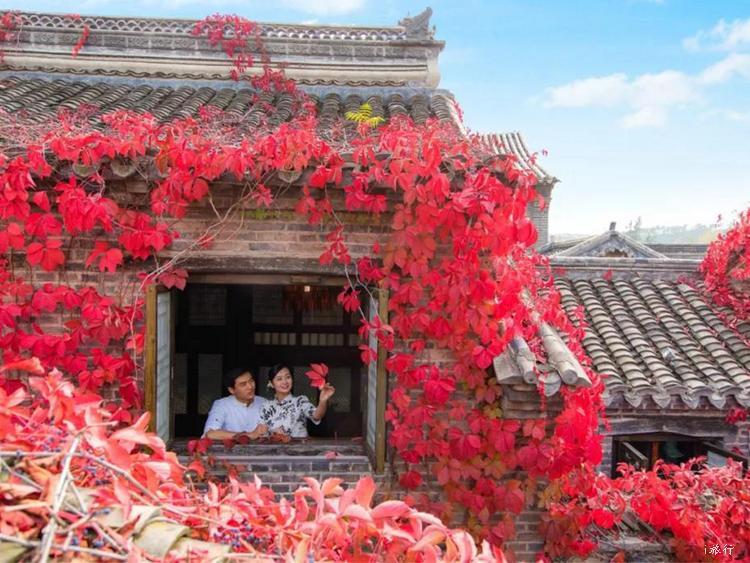 微信图片_20191116123834