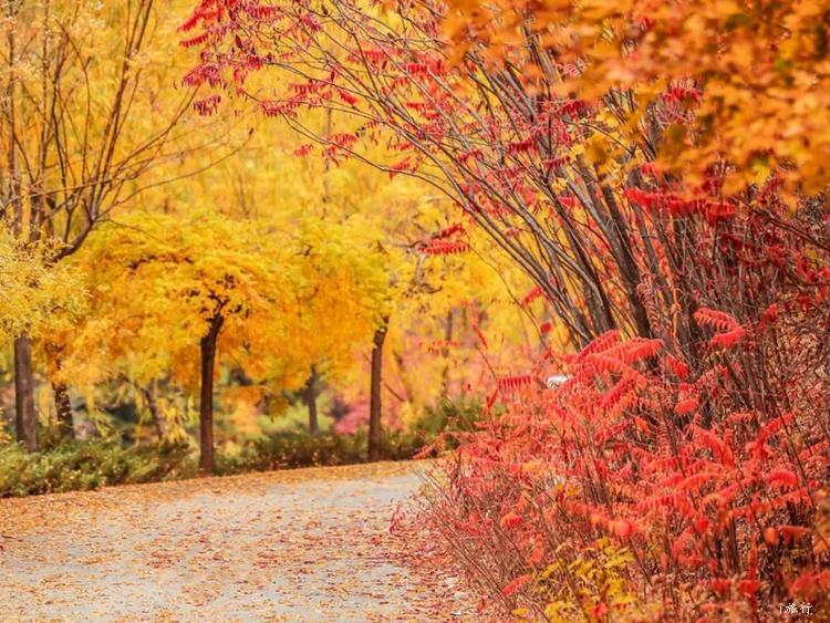 微信图片_20191116123841