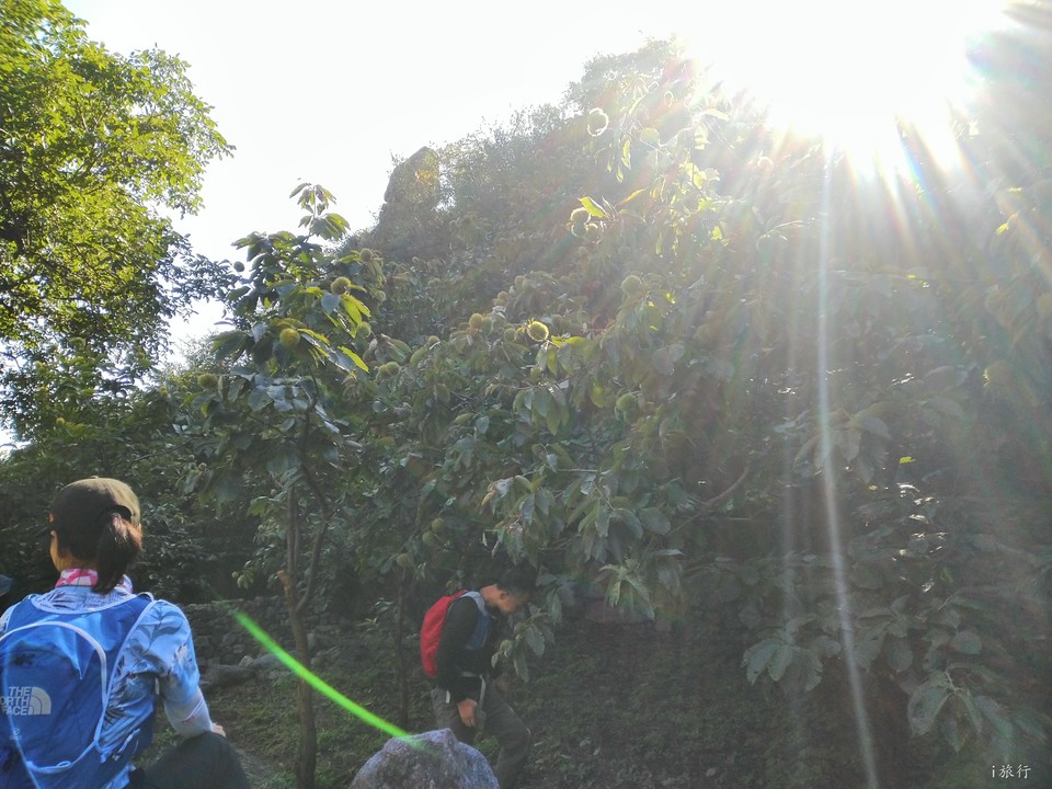 zNRw0M0TEYOkJ5nZOxP7ilwu59CgYosbI8ISrGm8OhI_fJGwp83yfYSsdgCG78XQ