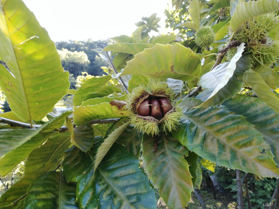 Jf39ICHt-lMReaNOoE1TKlkyYIj9aOhdCOS3ylqKRyhgobupaTXsI25nfNNgOP2b