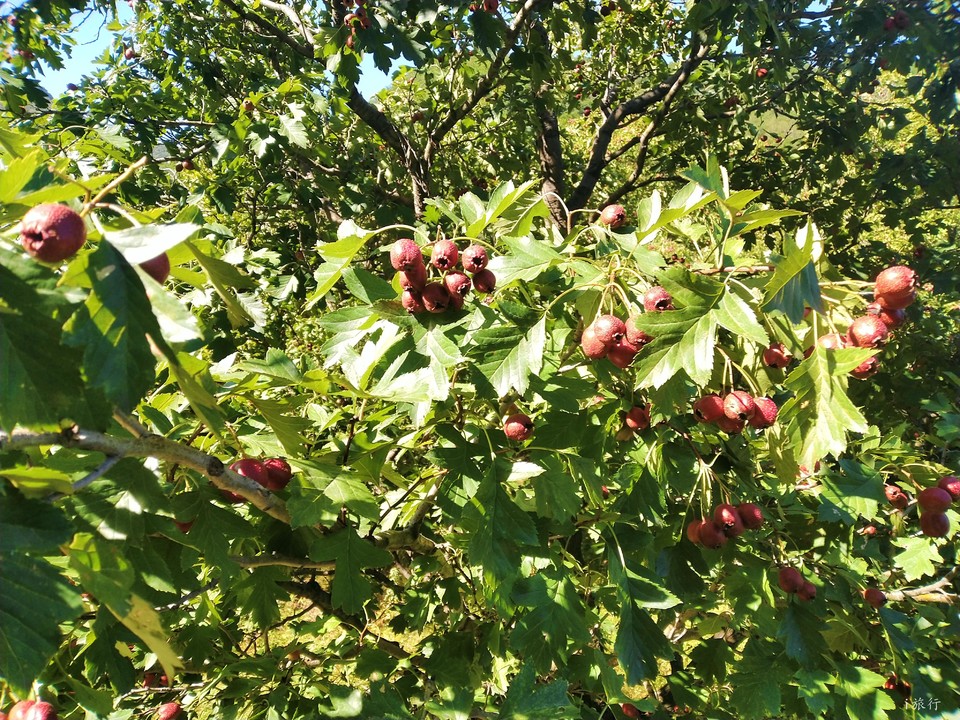 KnZ8PC8135842aMMC1ZG2-qxshR5TX4V3WPbbfaG-9HzW1hRTnjLfVqaWFmdOhZ-