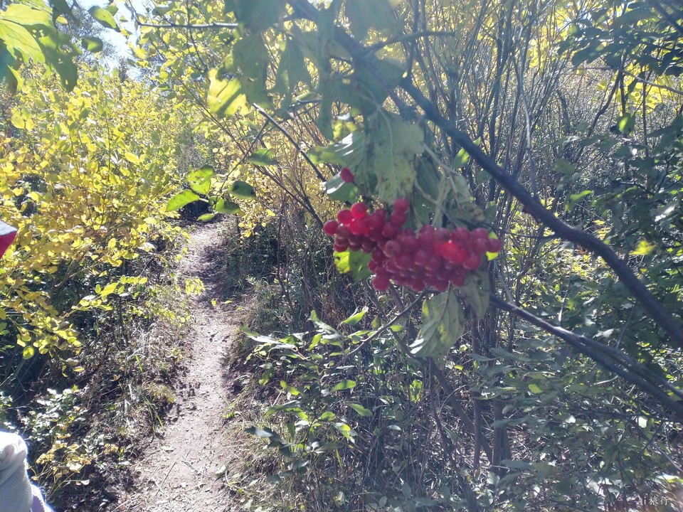 zv5ZsQ_5xD2y1HyB8wPa7sBwTpN_rr_SBKOi25uf_LrkZuFOetA-lpaejAY644ZU