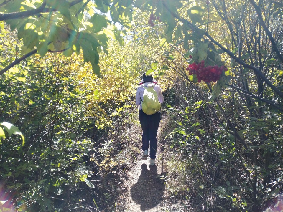 uwvShGjG6hYMtH4VwcwpwXoZxwT7pSUmrq9lKOHB4Tg3X85l4GKpjMbgslpaLa0n