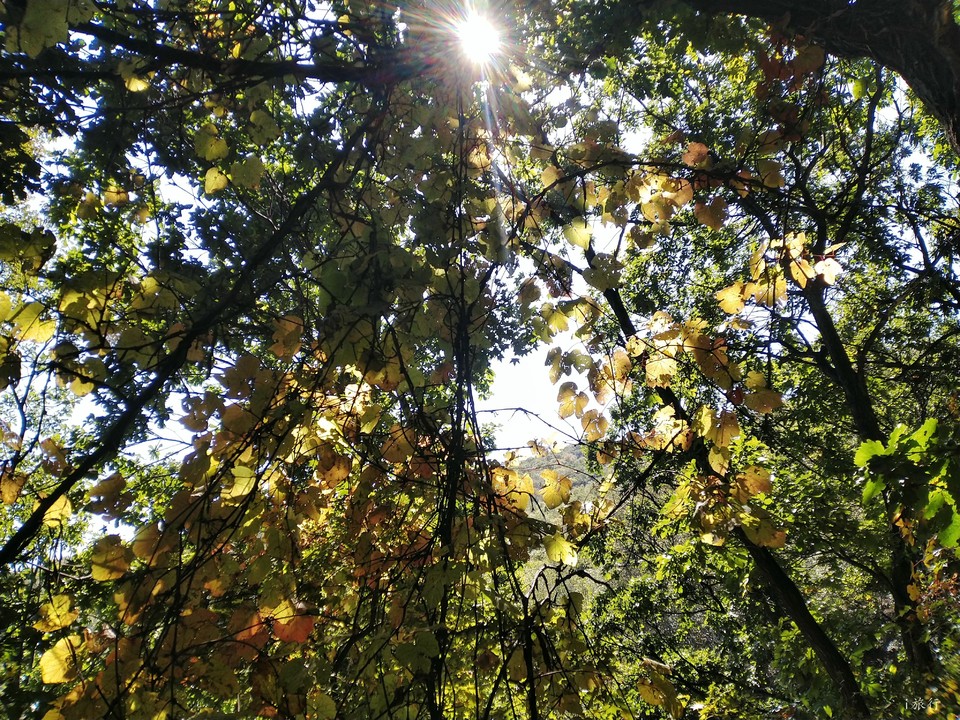 6FZRu_PRQ9Lzm2lZ38mpKxfRDP8mNkd4AI2AWlS7D8rRt5v8iBUuXlWhL8wF2NE4