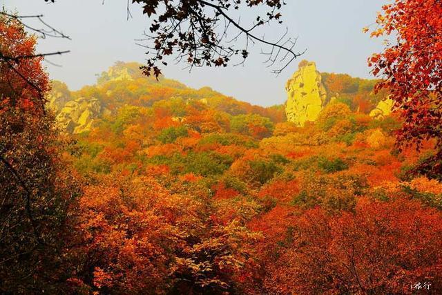 084c94d5a0bc4e408476c39a660d5a16