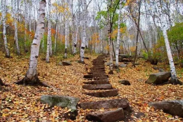 微信图片_20181008164730