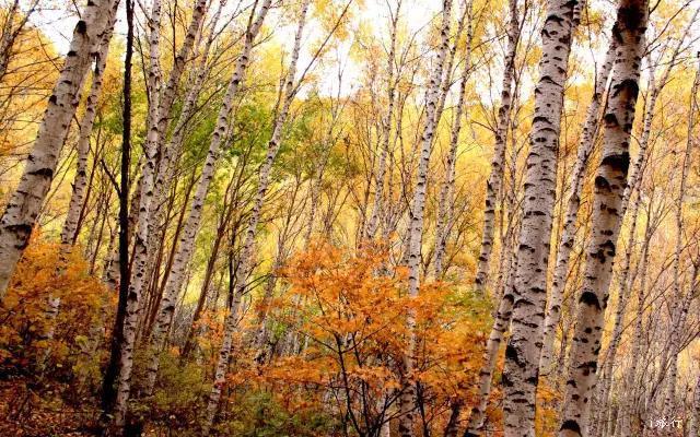 微信图片_20200921114445