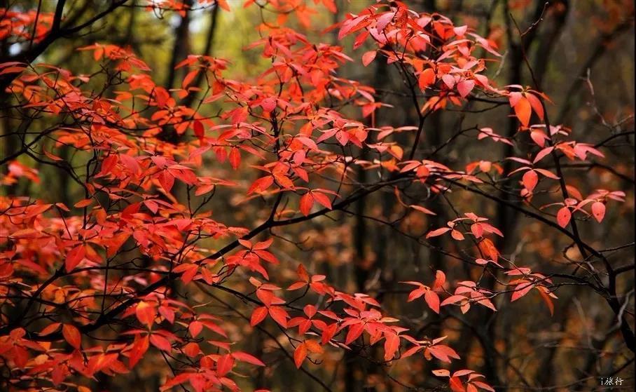 微信图片_20200921114507