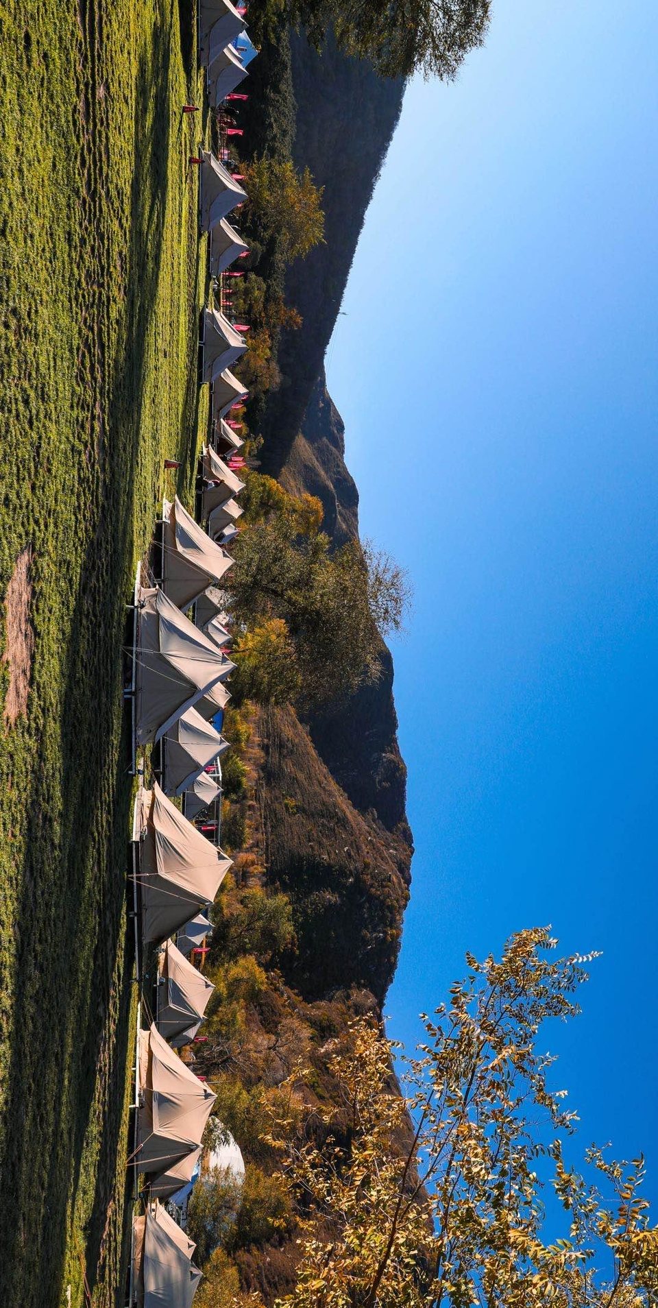 微信图片_20201013223442