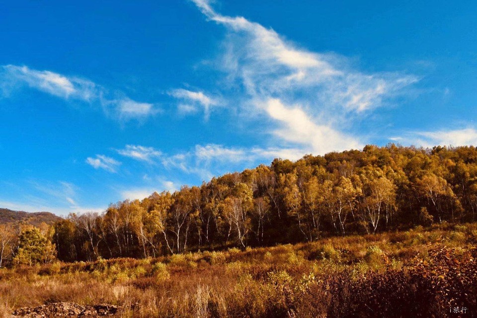 微信图片_20201013223456