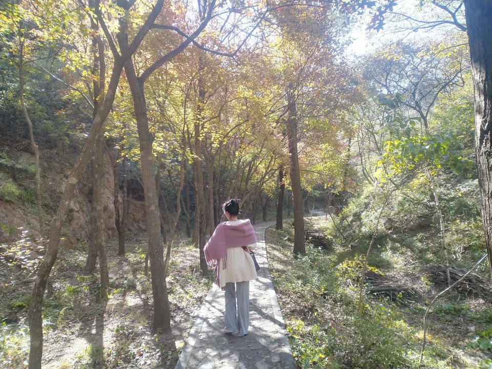 V2nTt5OXS1rml-YwHb-MyQFMio6_mO-Qyi05b6D_XCou_VVHitY6T9Bm1UaOOZH7