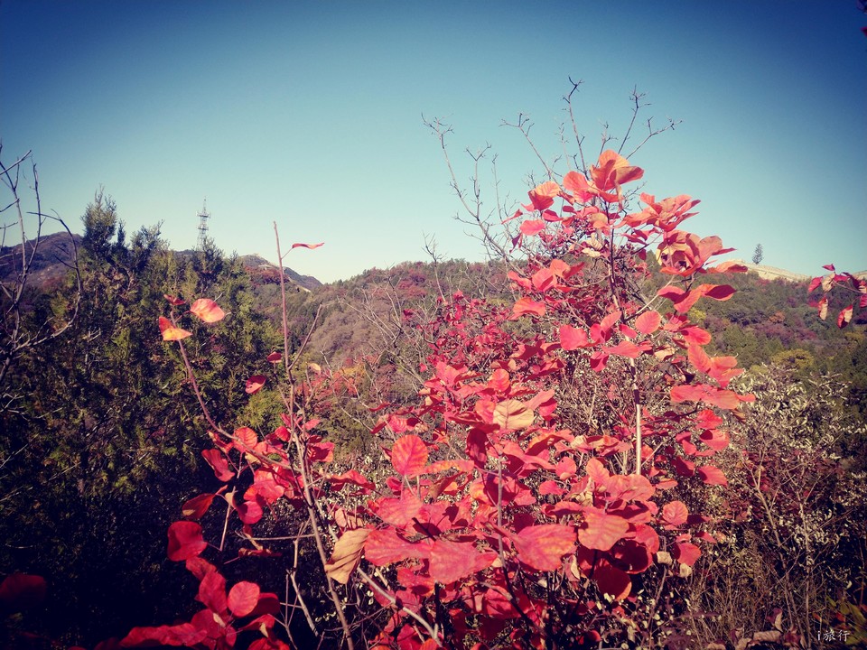 VTz6HEbxjitQ1U9iSrEEkKzNvB9H3tqU-8GXLCh7h_tmgLRju6i_DN52vQfRZcav