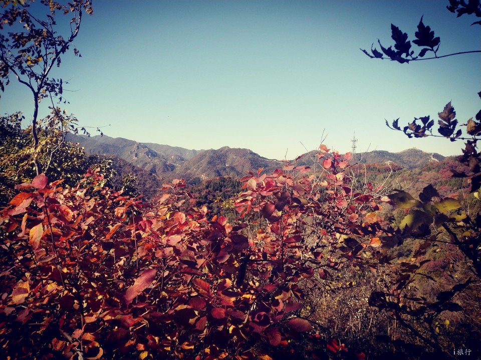 c_snrRQtg8aCRvodtXMow5oObVEKxiORA2P5-NKxDyhUqZGbirtxVxyNM88x60wJ