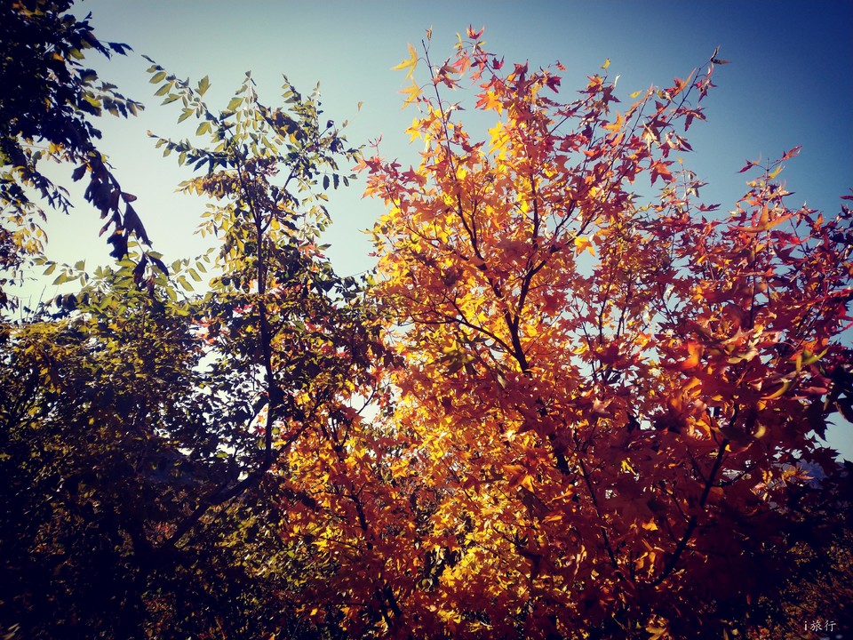 EYqdID3Pn7y2PhpuuEEmv0KXTxxDd-9-Fdg_UY-LyOSJGz2XwSft-tW0Ay2R0mcB