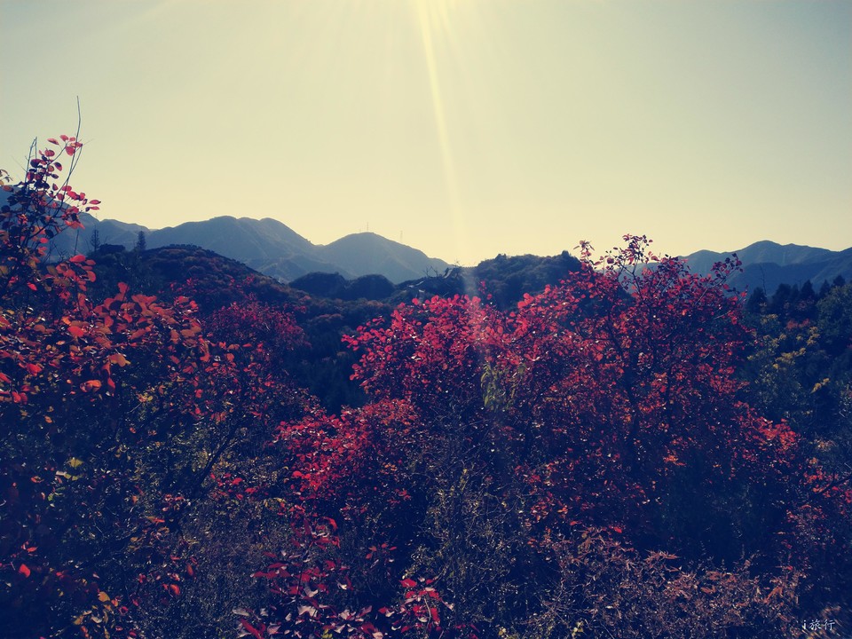 -U4CE8AVj-QuFK0pizcecrMx2PZuIg1ajFW07YLftIeKhbQAdpaE7NqhbJDmvhBl