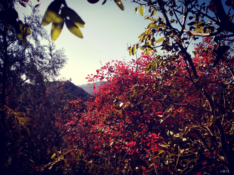 gWZtvrNcAuoo-oa1IKz1v4DLUMAw-FcBroSevAMHwTubJ_ZxUeY0Aebj8wVi5m-I