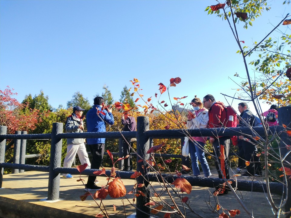 fI4eSsQxfIoEY7Vy62GjrNWiT0SrbdFm7c4iahnjc86OzmMRNKDM5vgqrz2B6Nc0