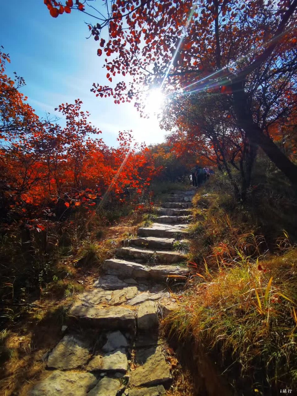 微信图片_20201022212757