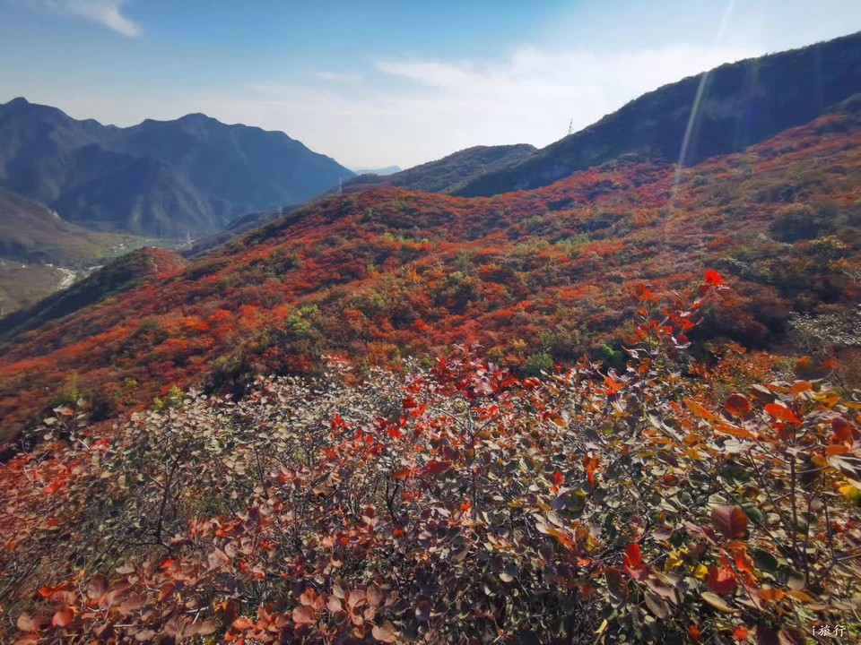 微信图片_20201022212810