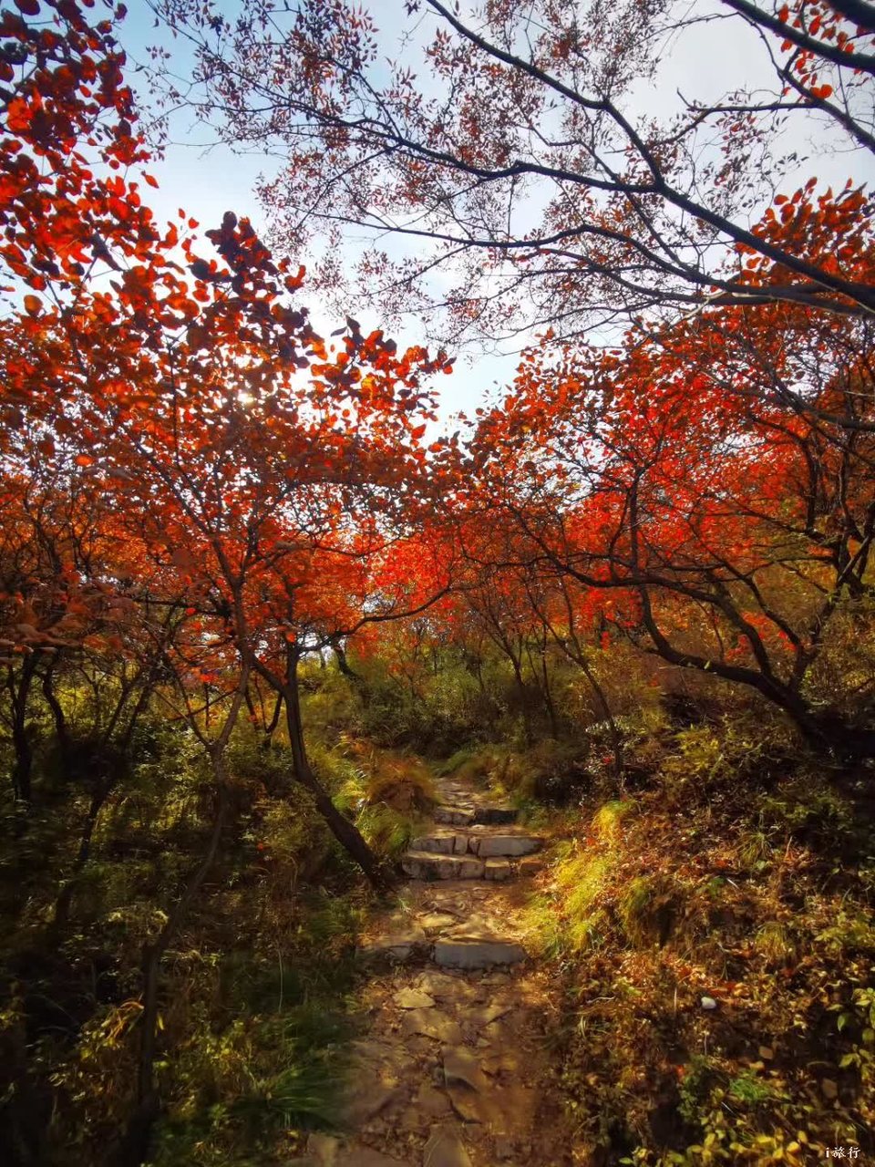 微信图片_20201022212819