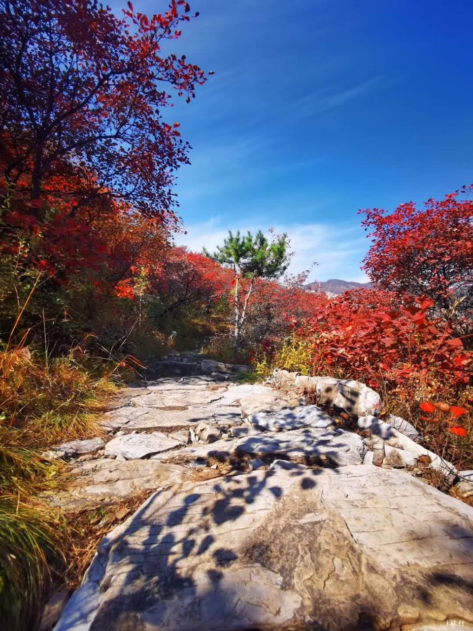 微信图片_20201022212834