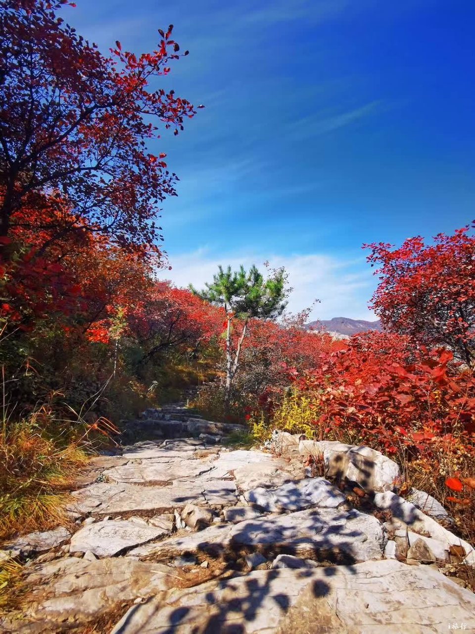 微信图片_20201022212838