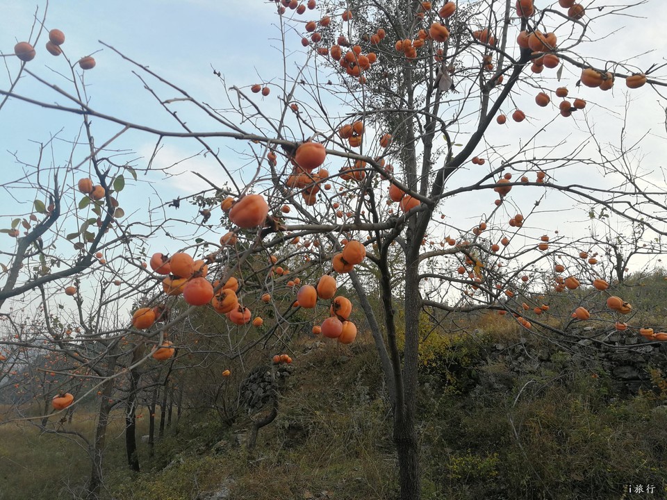 LoJT7woGFCjjTS2DhnVIjLJkGsqThNTTzI70a0T2yqEbwN6EzMDD7h6JcPtSGF22