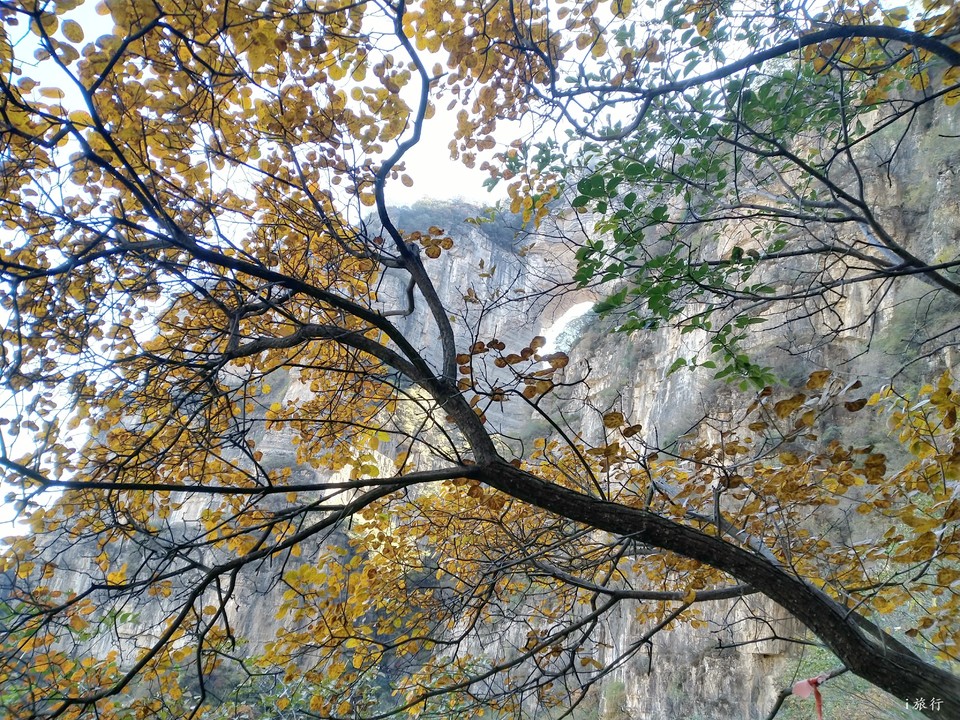 r1kzjhDVRi1I7dqztjk1Z2w0N6-X48-gsrPaE0K8yxHFXGeYJeXSaHIhlrnzM91s