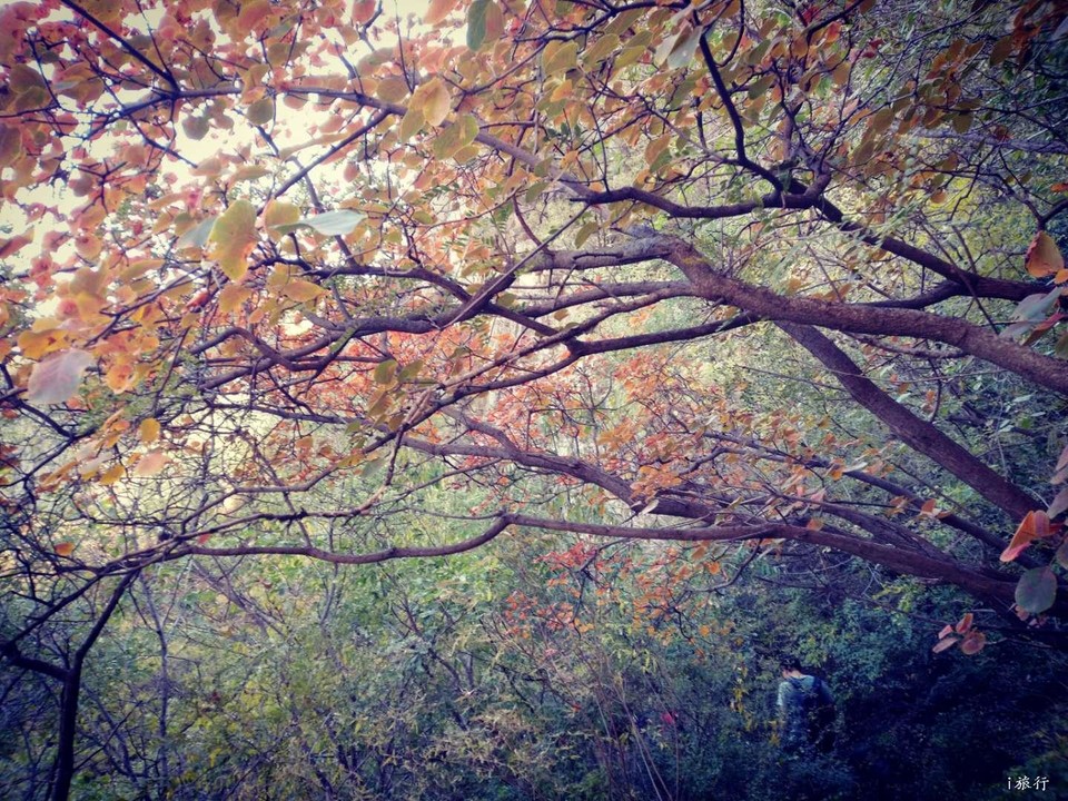 EW8FD-js8V2pMTNmMBiDt5EoqUl11N0BAHd96iydxq1Ms3F_74cbB31ZgN7Bg27z