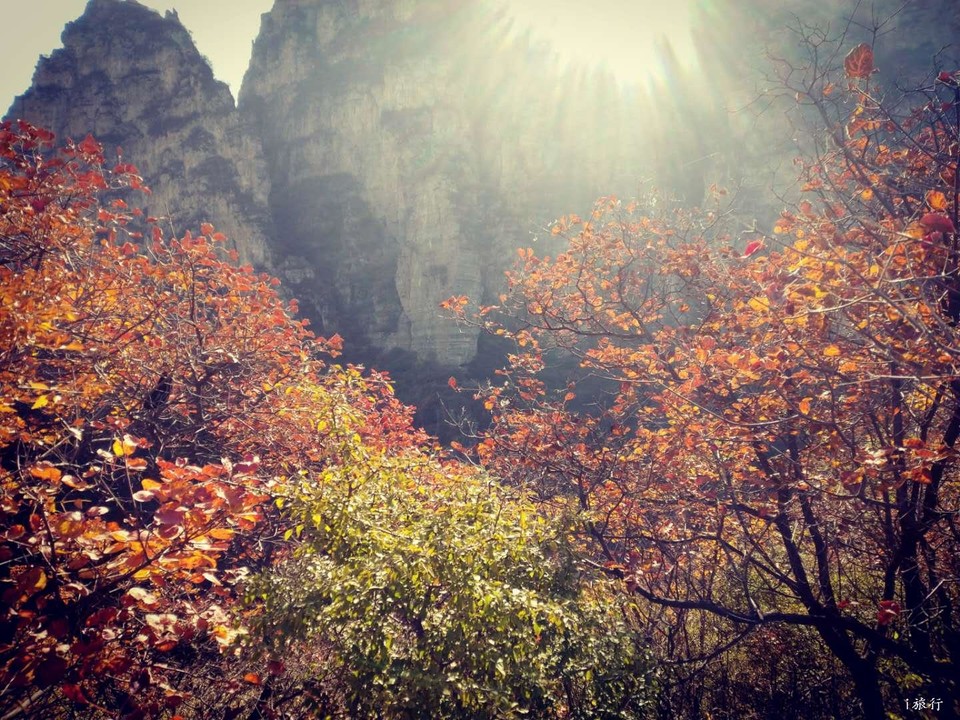 K2V4iSMXSw5muIn8wz5nMqsP16_UoXd81uej2MbuIIgu_IqUDE5Jvj3Xo1fVB7bv