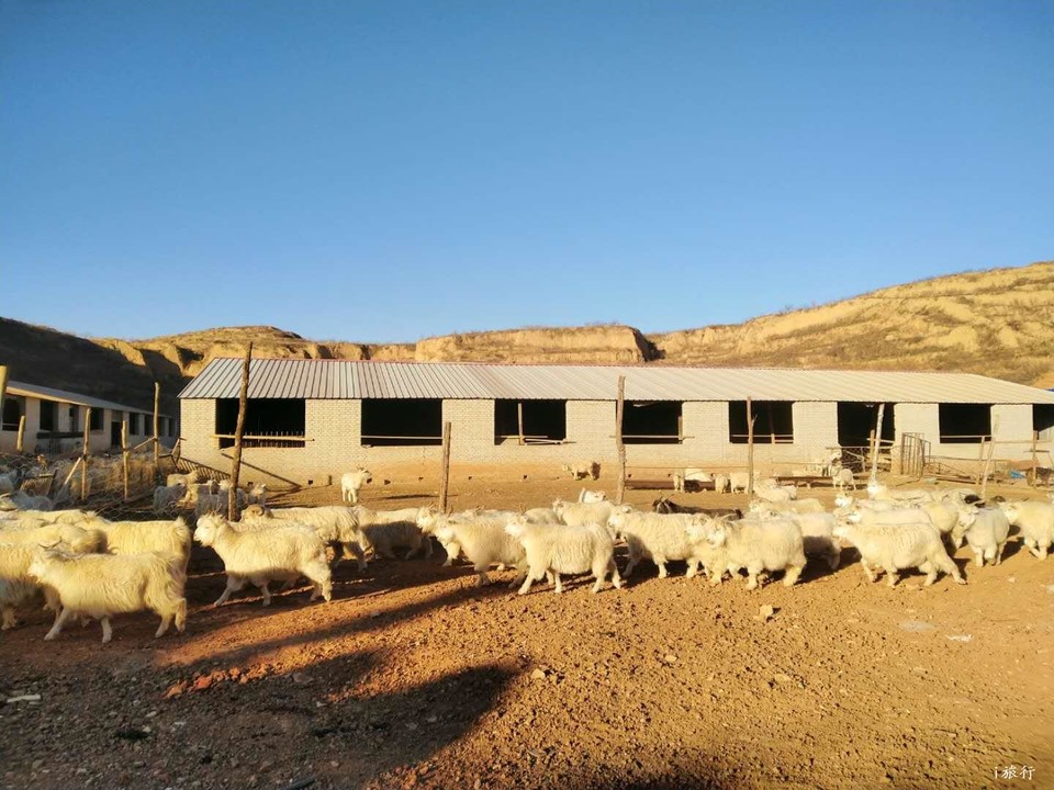 EB-7ZsTv7yAfPSo3SC-DNJeImoxMjj-8ODPDxOqGPg9wZZrcRrAlcFVqWgY5r7qb