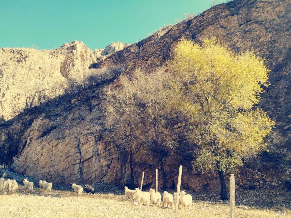 Wo4X4yVylDx4gZeZdsr4USDa7gakhWCuX32l5xm1hPeQsSj9TKTYZusCxx6qdT0e