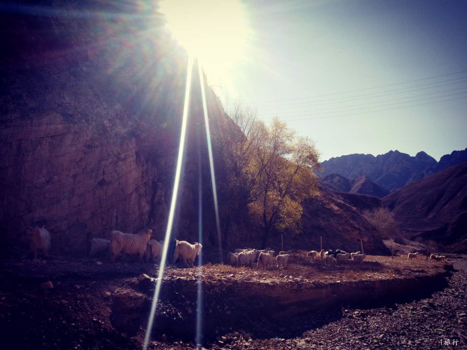 Wt0QmxHxD281w7MekXdiSBLol543EZjy_aeB2dRHW-7UlB22BVE7zwgMvabPPF94