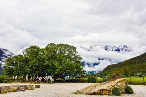 c5b5a10ee81ef0a3ac558dd33b60cbb2