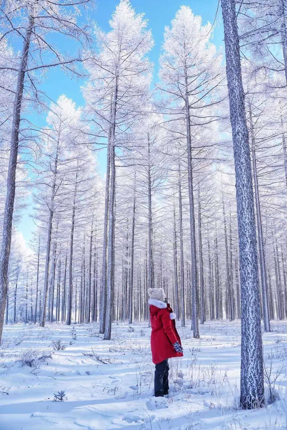 ANvH566Xk8PTbpnTblF01J5e-IHYc6iatmvQ6V7ocG2aAbh5pQ48qQqoEjHA6Tre