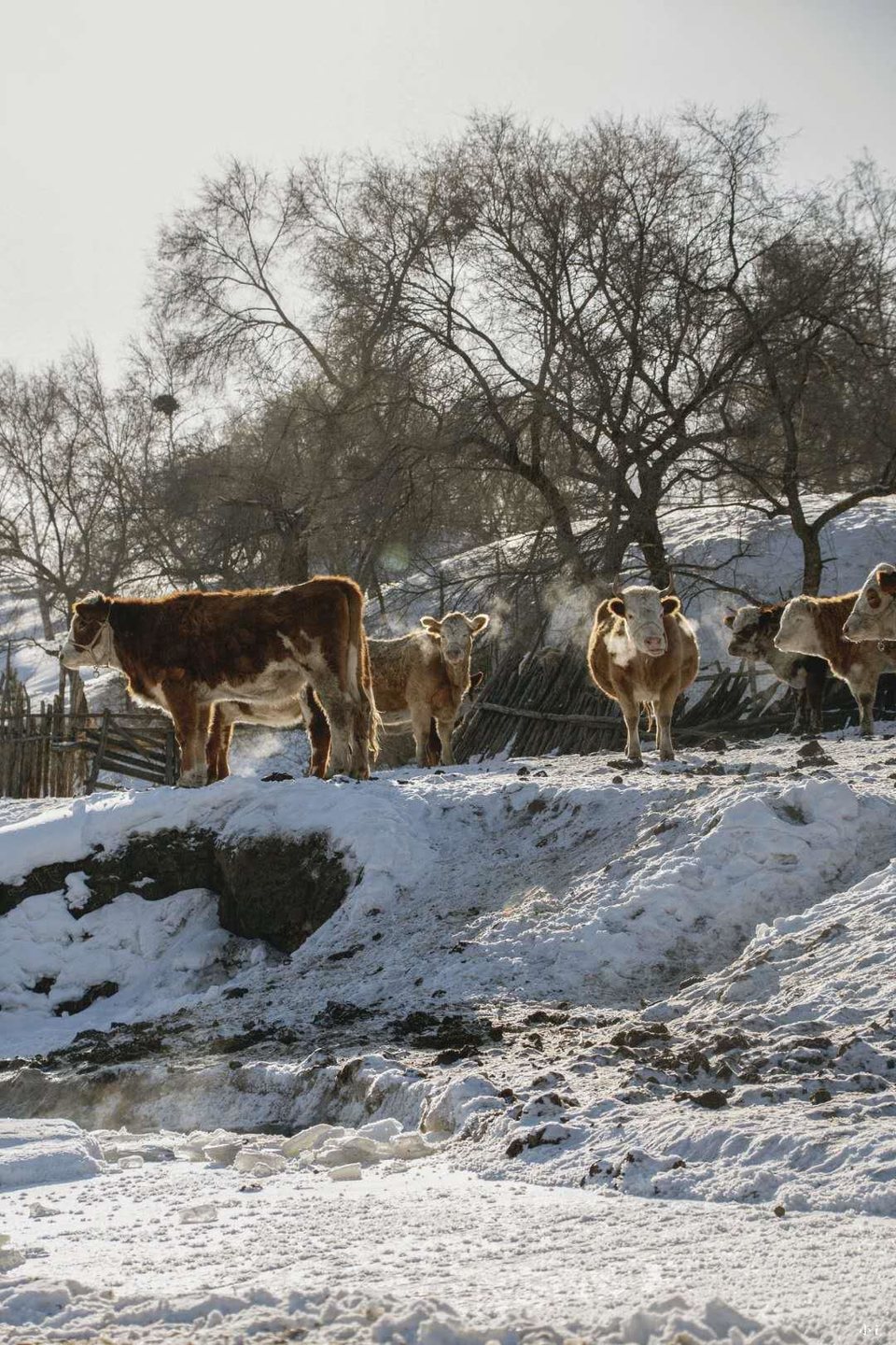 29jVYqvg-tQpiIbTAJIuSUV2GIWhehNWr1px2YzLEr1NGs6mdAlL_brQngnEGior