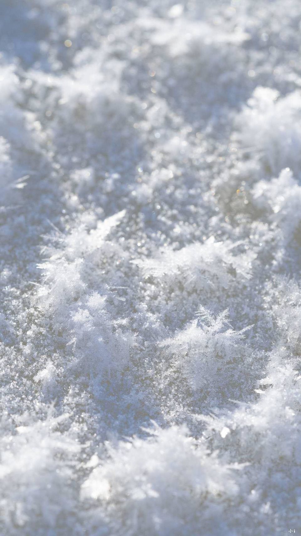 aMrVoZ3U_On8dVzIsgNb0ylTgTLGof3npK-YkhcQyinEHeOTUjIzFjC5lceDjDzC