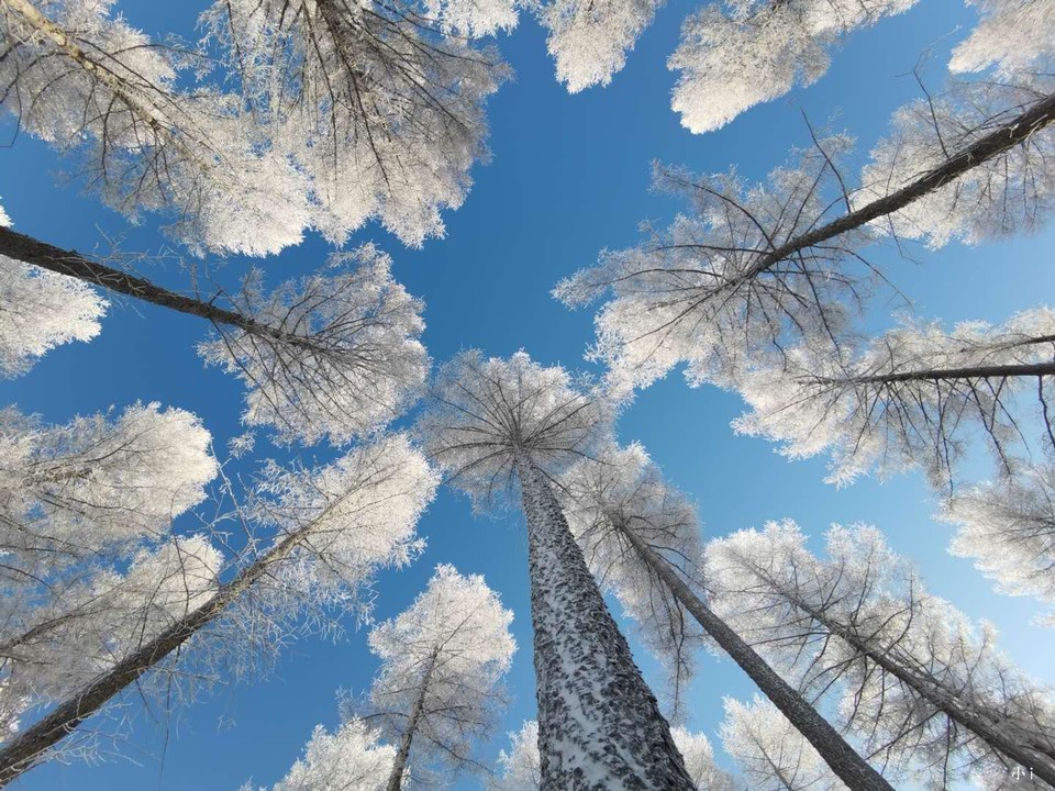 hD1cp-c98AlTNSuw28lvAvfkMz8IBonqBVY_LwtzeK0ZcVh9JE8VqD0sJbWnFwL4