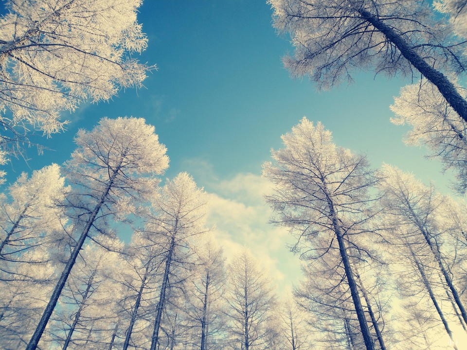 f-KHd5E20va-riTs8E6eyZVY2e7BW21v28VQQ8dLe3MC1OzfvBsMEeetW8-1xqn1