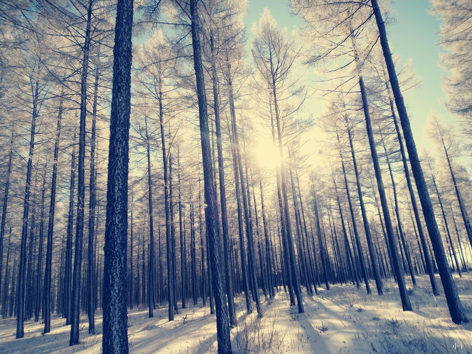 jzn9Ur3kkkqRNHLBHqDDkJ8KXNa-VkAze2u8FXk0uOvqNBtiqNXkgN-BvVFbBIqv