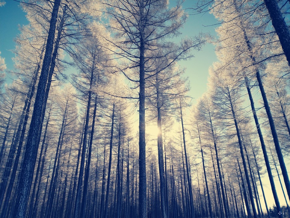 Ro_glSnXlEI-6T51ONKIwjRhdwCT32W6PHXtl89Rf5V_i6CNB9GxsU5g50J__zNT