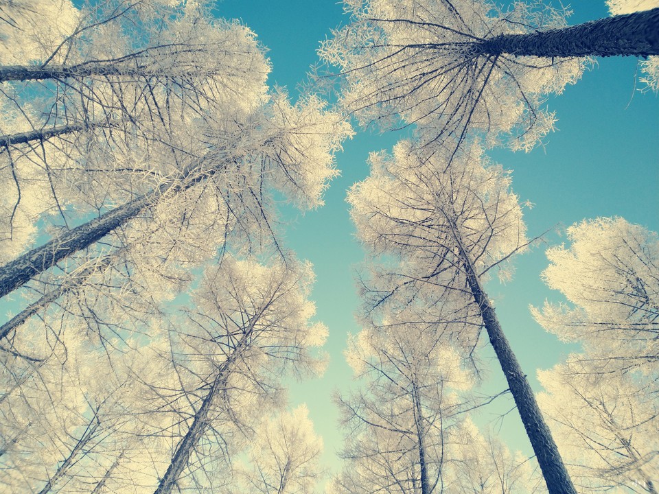 c9yIJyyV-DH5VxqhGw34kvDaEPPfhBC5IdBO-gWX2iw_mrWyUyikmDVndoG5LF6g