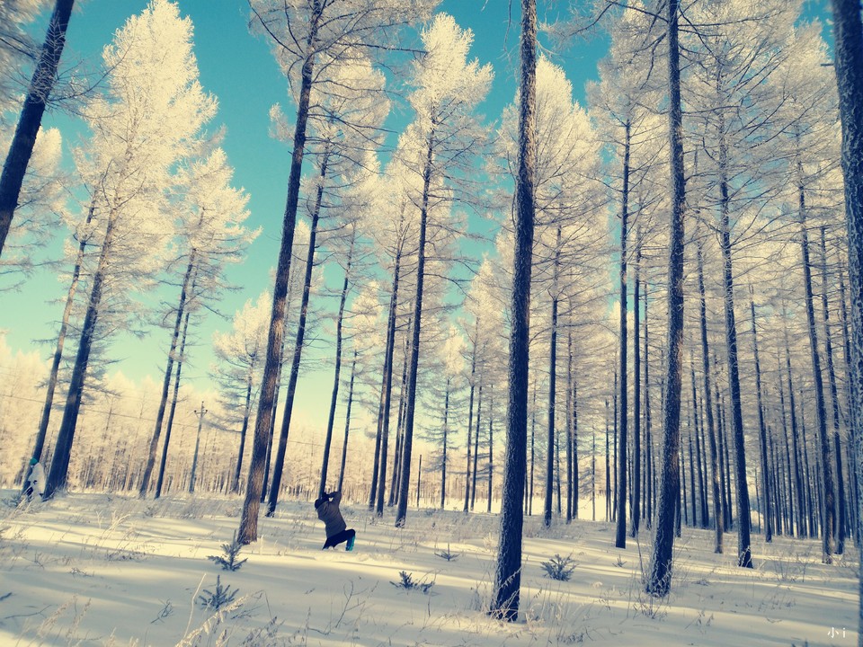 dovClBhR7uf0JncbhfNT0iZazfiNmrVr9serblybjMTngR4s3GUF0vcphRPiba6z