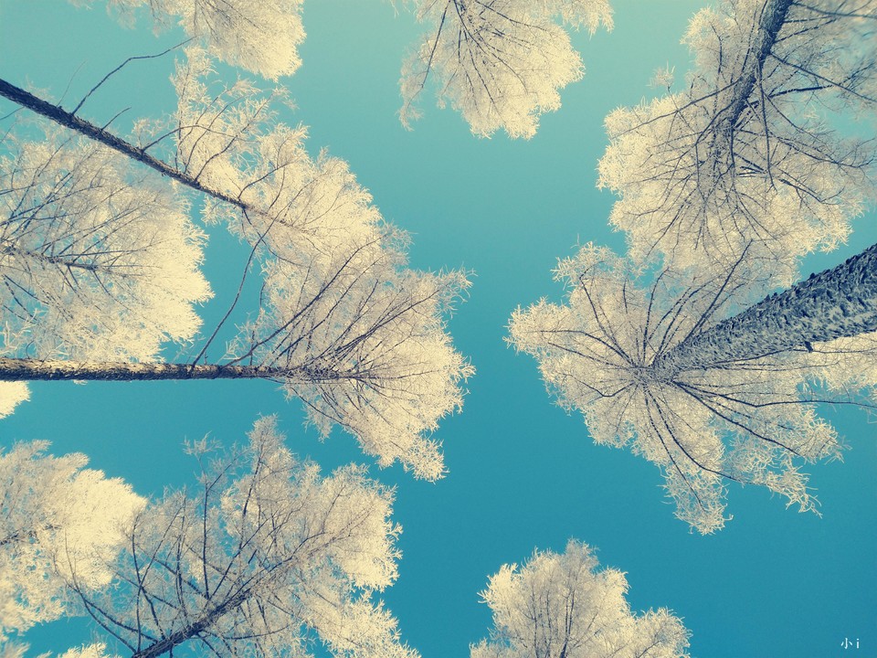 2cXtKk97p6upop6KjZqKMrYhNndrtfVotyEfdrrn_ma7T0G6IMOhclVe7H4MAJ_n