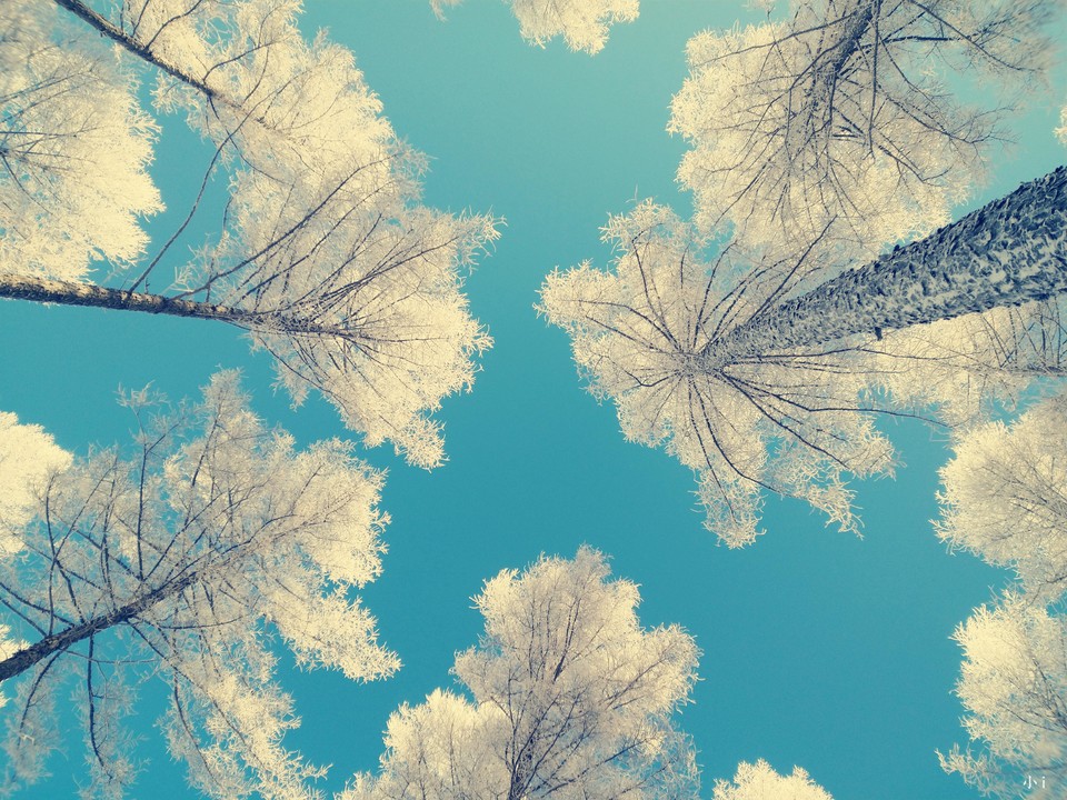 yjA5Z3fIEr4aWVj9JBy0EN0o4SG-0QqdrsAtjtPP7NlJCSEM7xI0cnzrZidNznGM