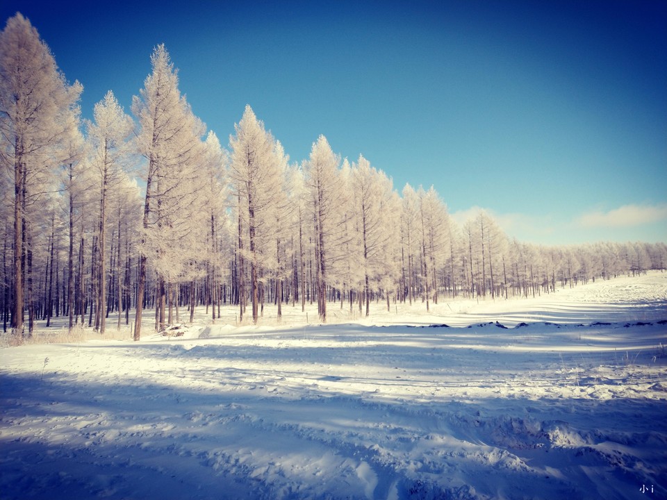 9xd8EVlf4lJGoQ8a7lH2jkvaFkbBcqPmTAwLAAGf_hL20VS94ffbOqNcY4rwdlQT