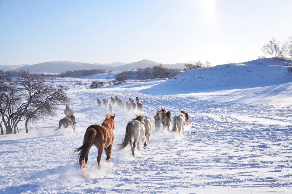 x4vEiR2d6yAq3nOugmXxcFh1ssw_q-pYCDUL6fgKwhcL1ELW2xHudt2DyGGK7jaM