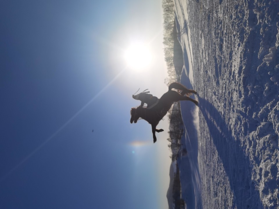 j8l-iyO7WaAhVC4oaMQOB0t9MsLllZAq1l33-qxt5nbM9UxwybHHJ9oAyVjJgQH2