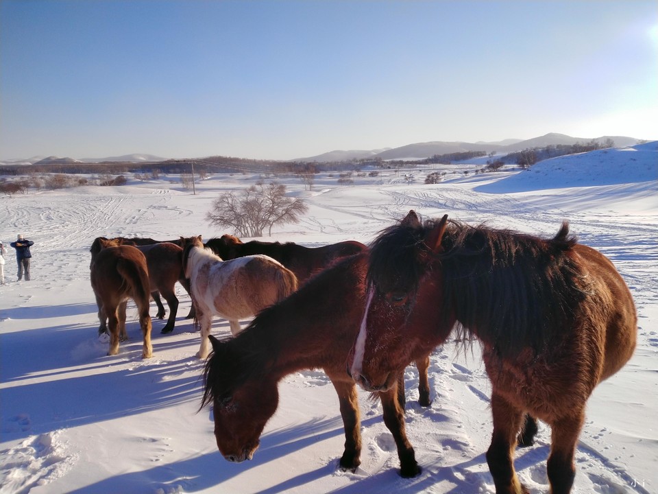 SQ_aBSu6lTahD5X2g0NJZXlr3K-oo6nvvOi58uRoBSJd2vKHUc9Ra3dud05QW0s5