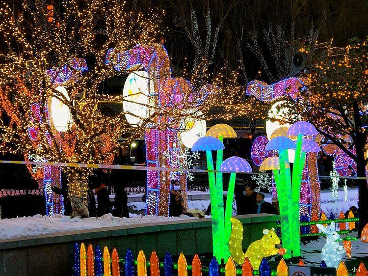 14857f89c09b4dfdb8d824c2a4b335a7